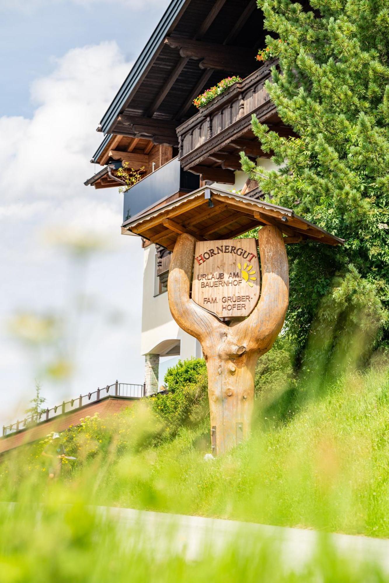 Hornergut Altenmarkt im Pongau Exterior foto