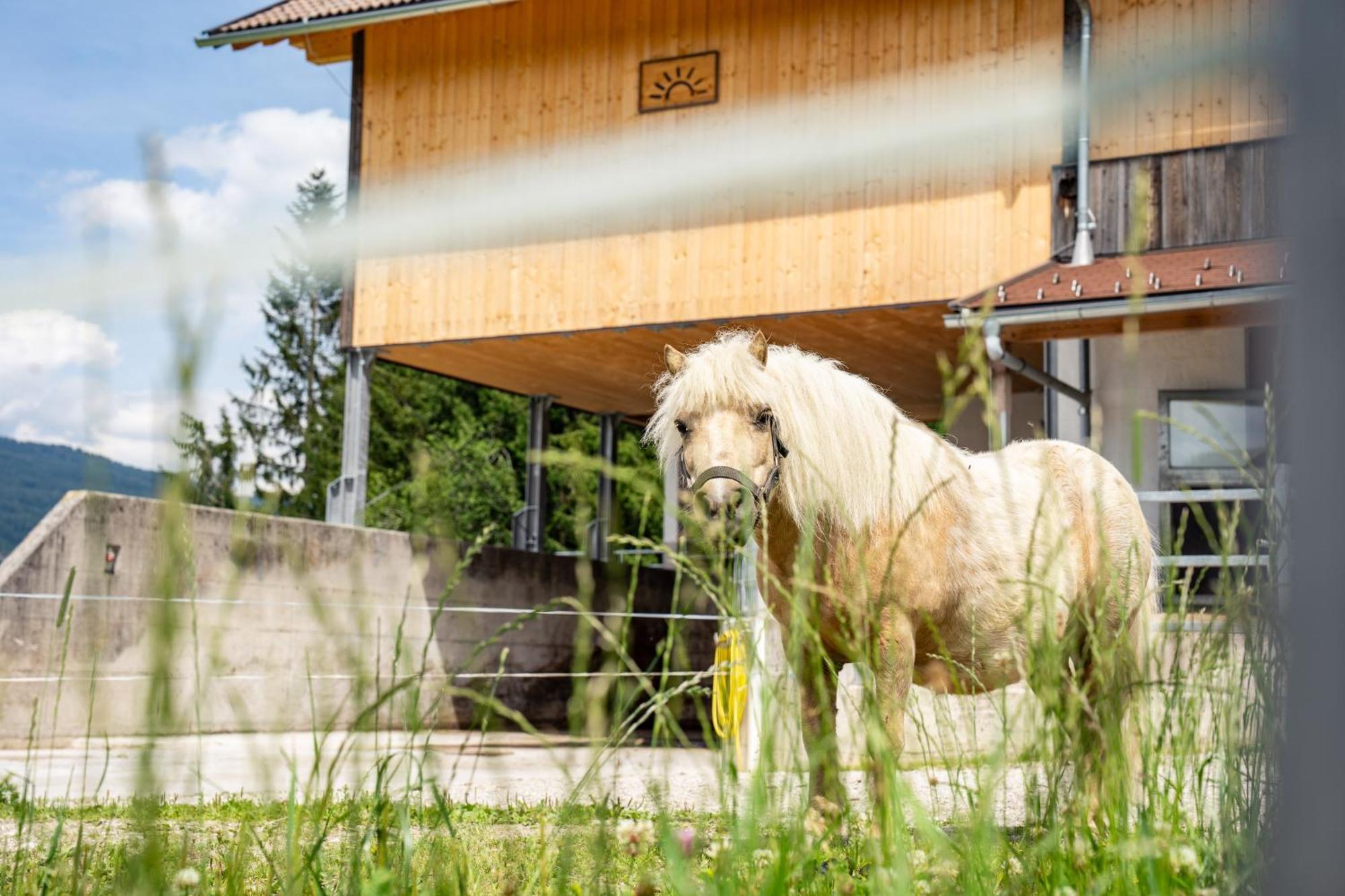 Hornergut Altenmarkt im Pongau Exterior foto