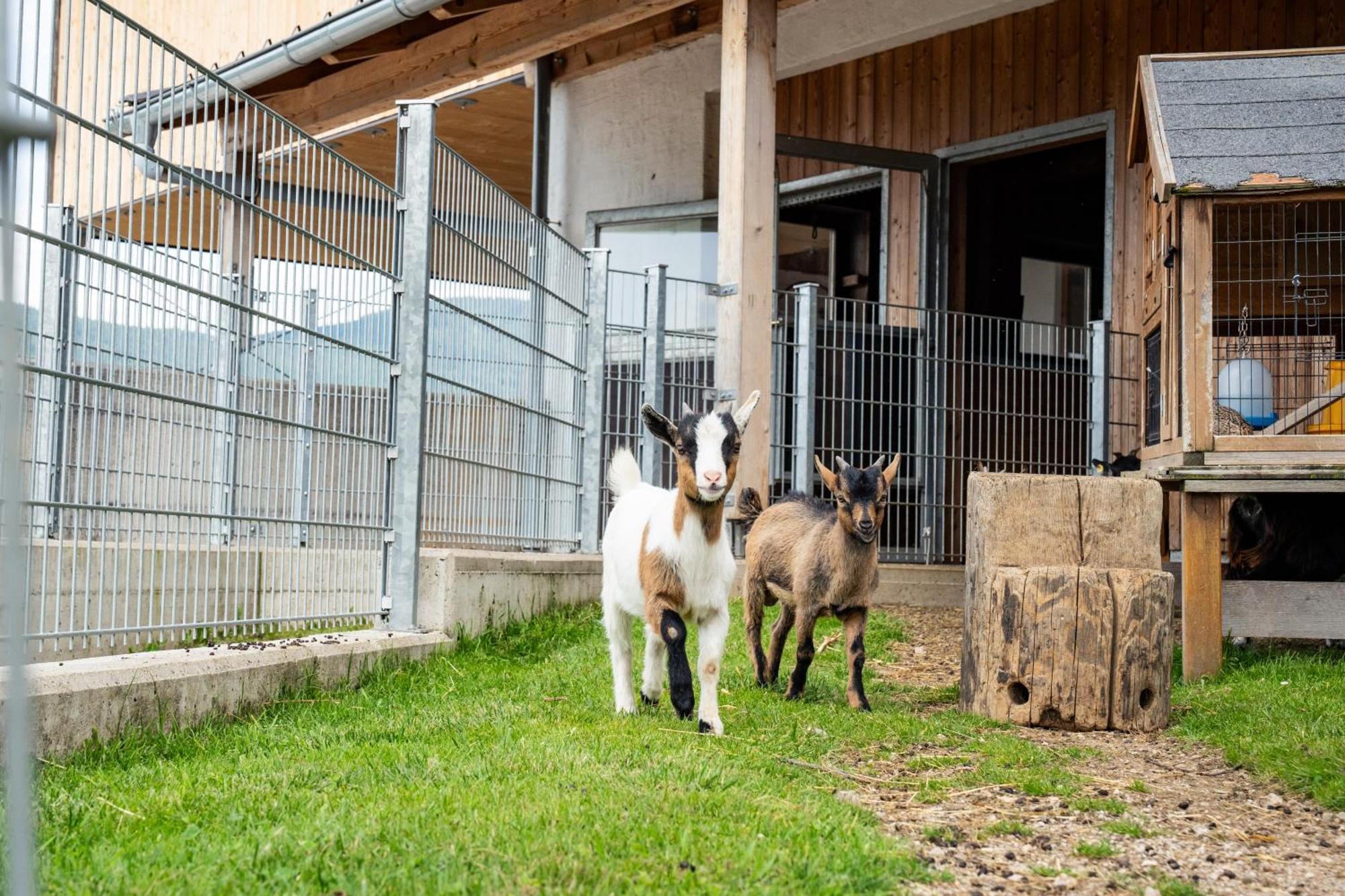 Hornergut Altenmarkt im Pongau Exterior foto