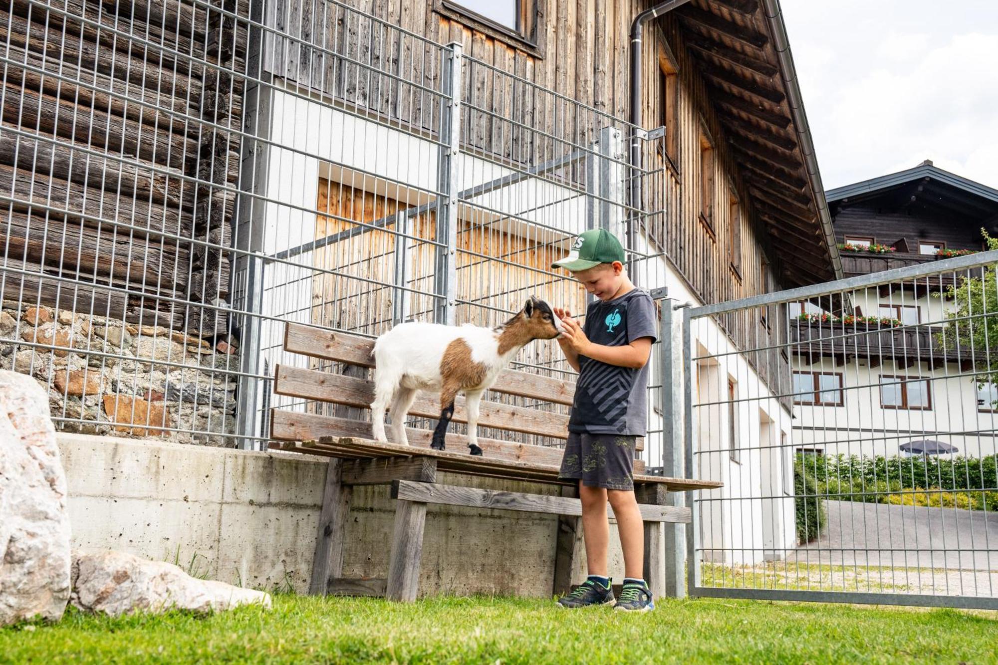 Hornergut Altenmarkt im Pongau Exterior foto