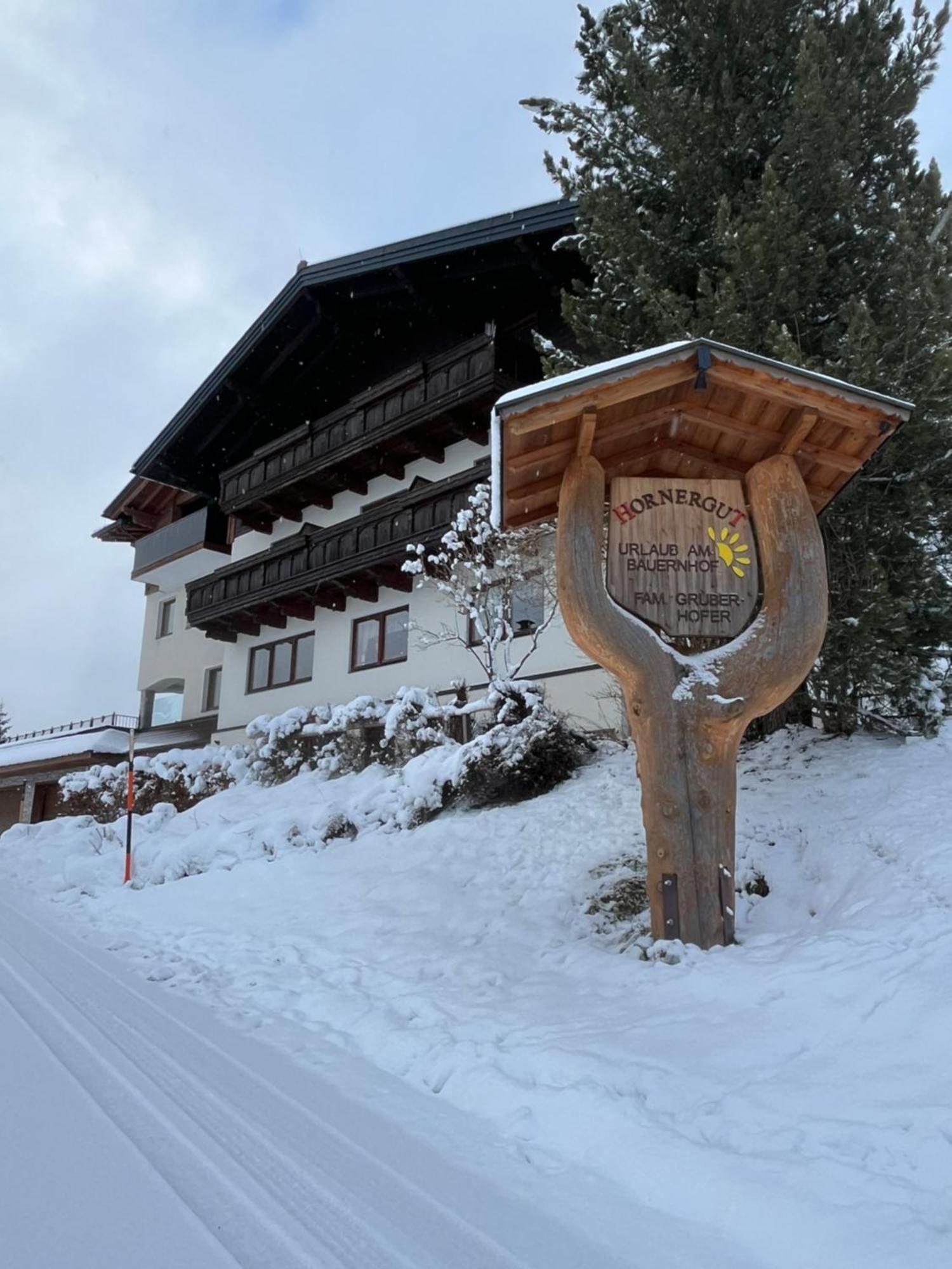 Hornergut Altenmarkt im Pongau Exterior foto